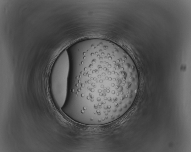 X0000094790145200711160925