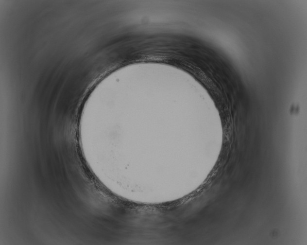 X0000094790146200711160925