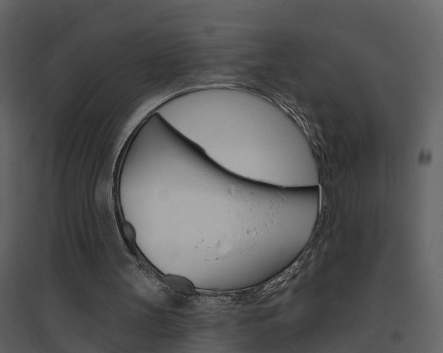 X0000094790147200711160925
