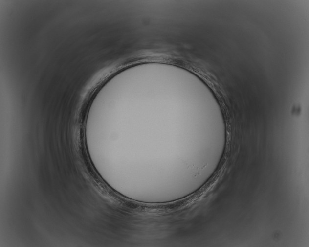 X0000094790149200711160925