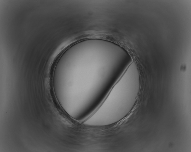 X0000094790150200711160925