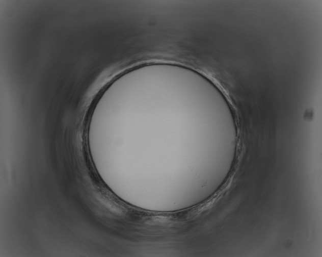 X0000094790151200711160925