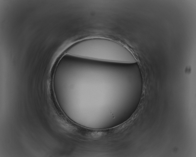 X0000094790152200711160925