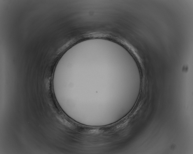 X0000094790153200711160925