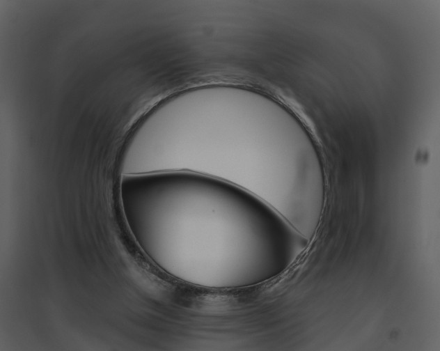 X0000094790154200711160925
