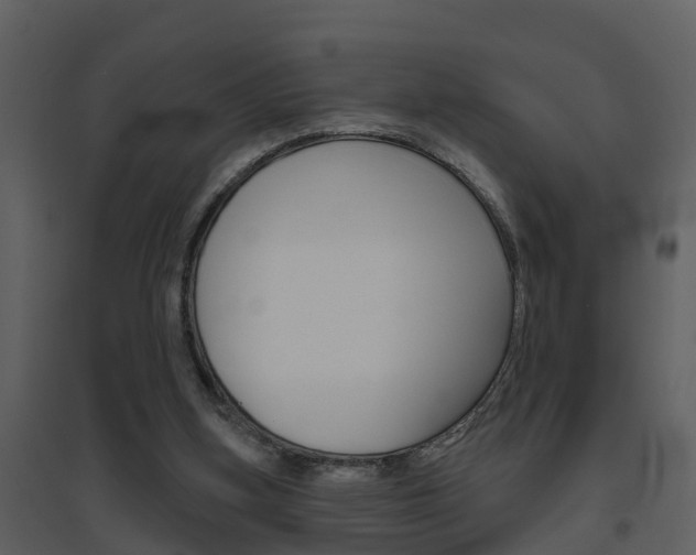 X0000094790155200711160925