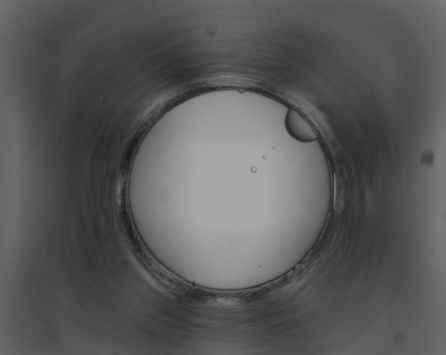 X0000094790157200711160925
