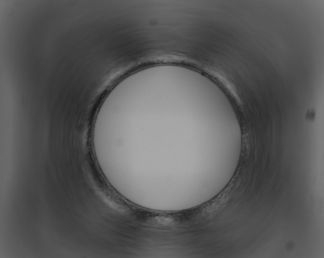 X0000094790159200711160925