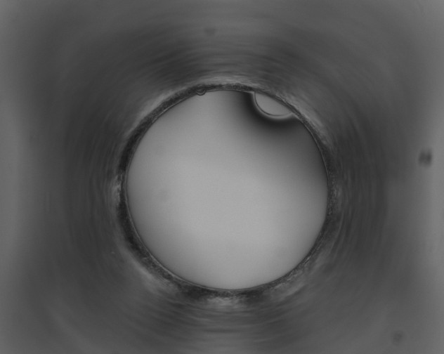 X0000094790160200711160925