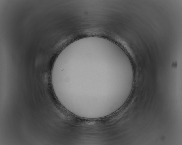 X0000094790161200711160925