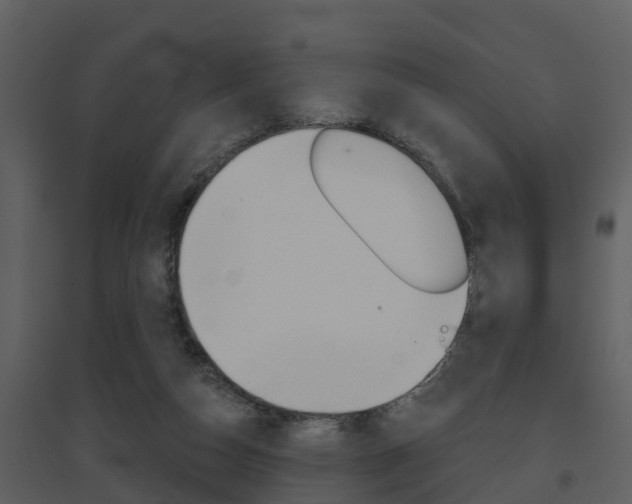 X0000094790162200711160925