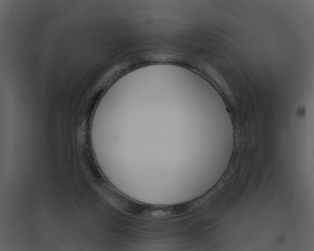 X0000094790163200711160925