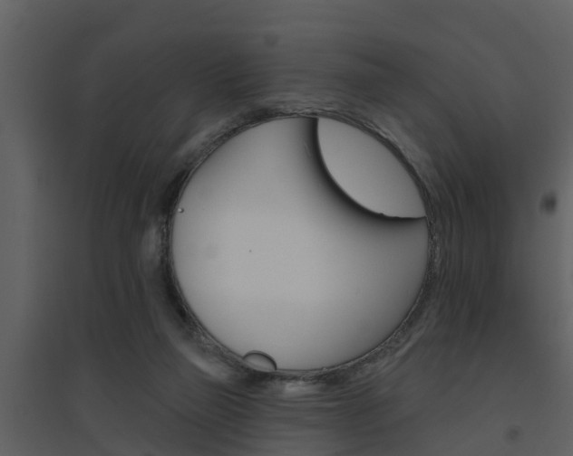 X0000094790165200711160925