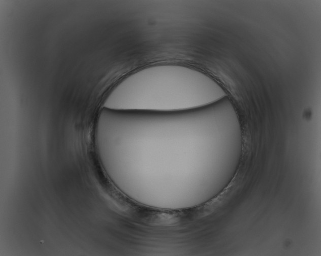 X0000094790166200711160925