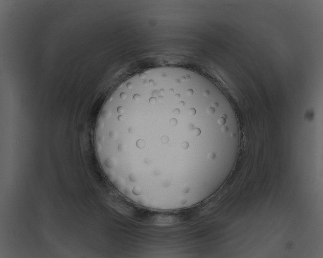 X0000094790169200711160925