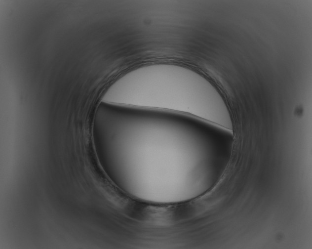 X0000094790170200711160925