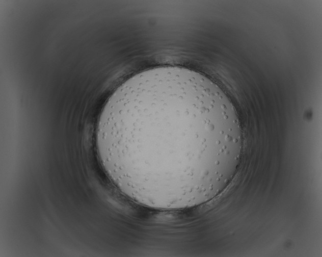 X0000094790171200711160925