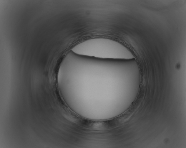 X0000094790173200711160925