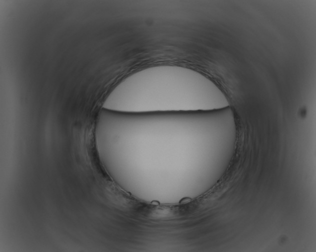 X0000094790177200711160925