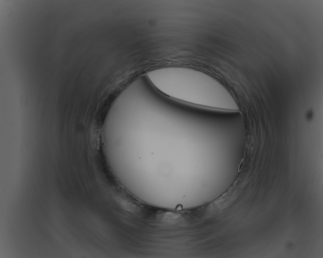 X0000094790180200711160925