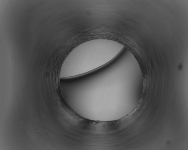 X0000094790186200711160925
