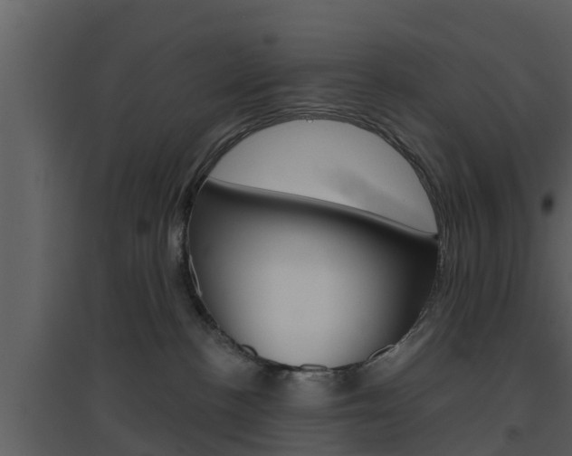 X0000094790188200711160925