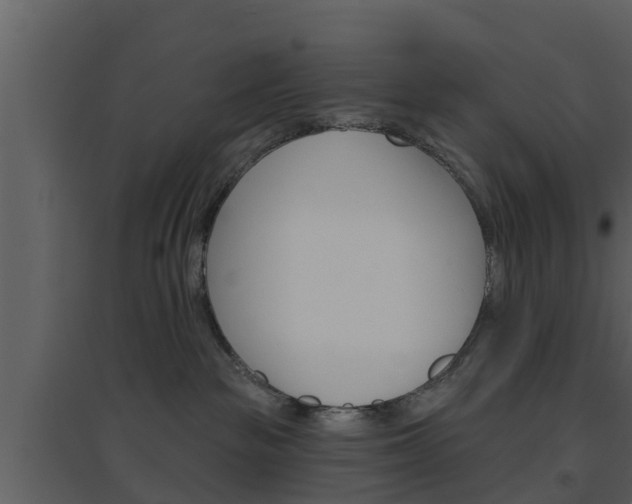 X0000094790189200711160925