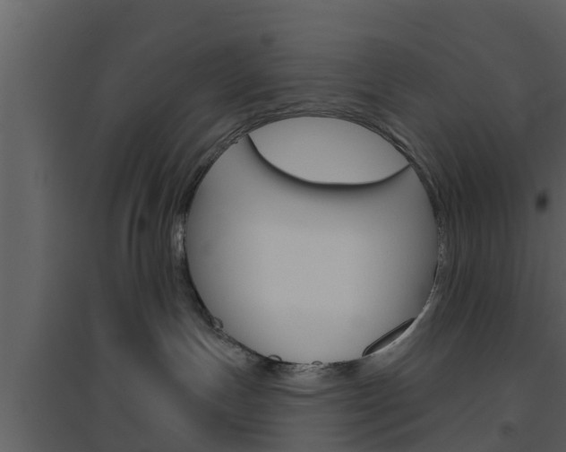 X0000094790191200711160925