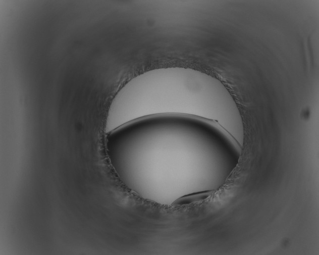 X0000094790192200711160925