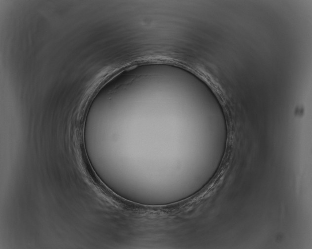 X0000094790193200711160925
