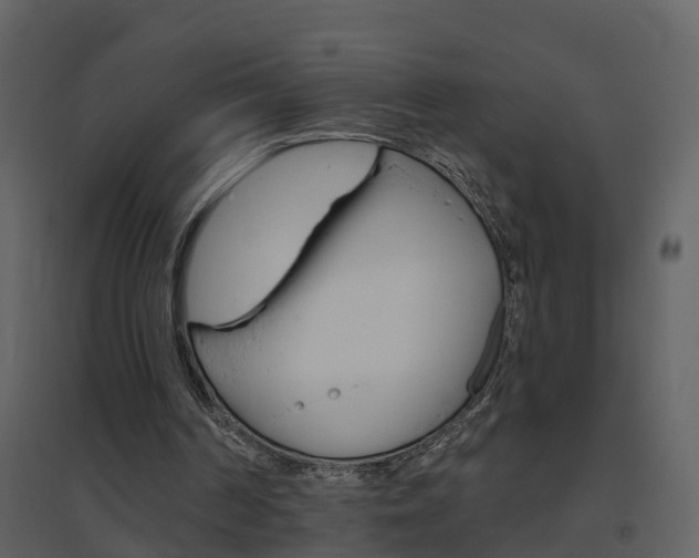 X0000094790194200711160925