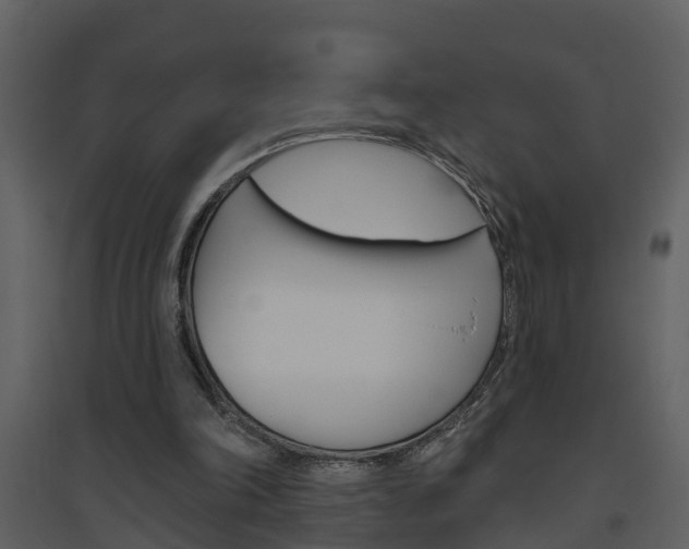 X0000094790198200711160925