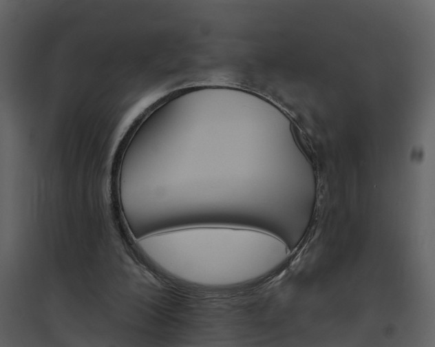 X0000094790200200711160925