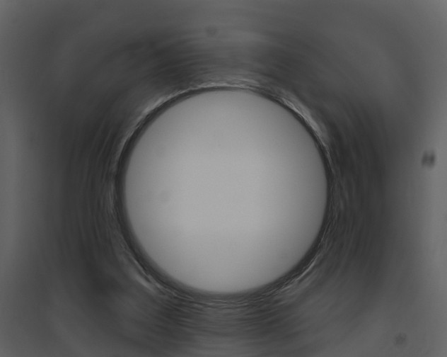 X0000094790203200711160925