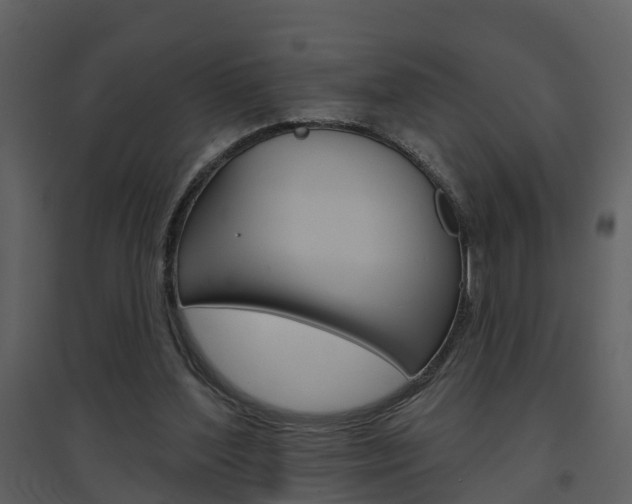 X0000094790204200711160925