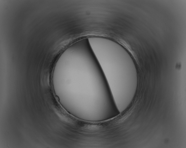 X0000094790205200711160925