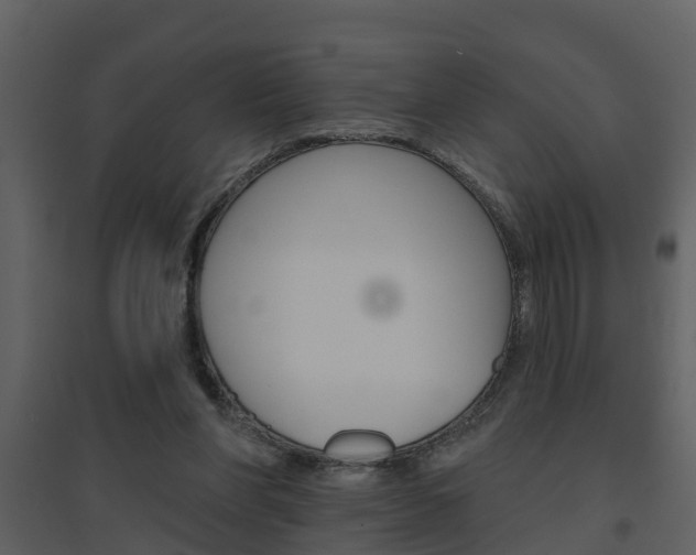 X0000094790206200711160925