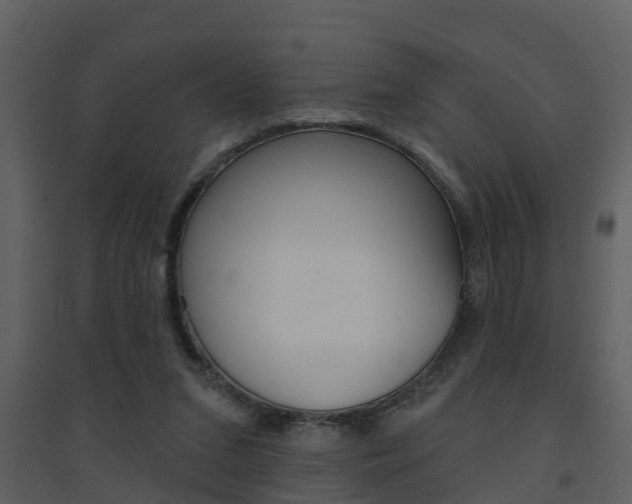 X0000094790207200711160925