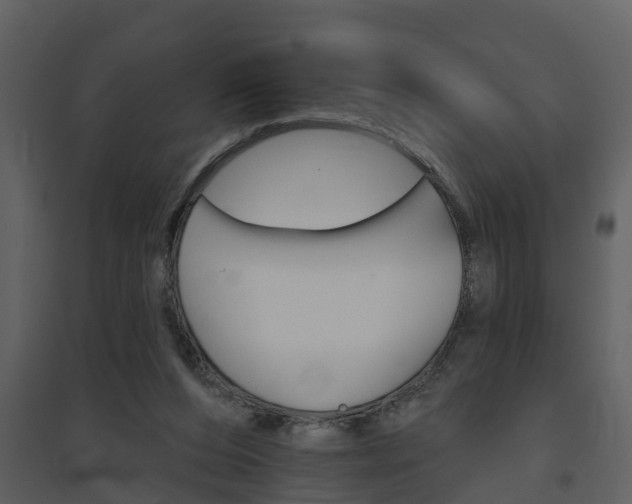 X0000094790208200711160924