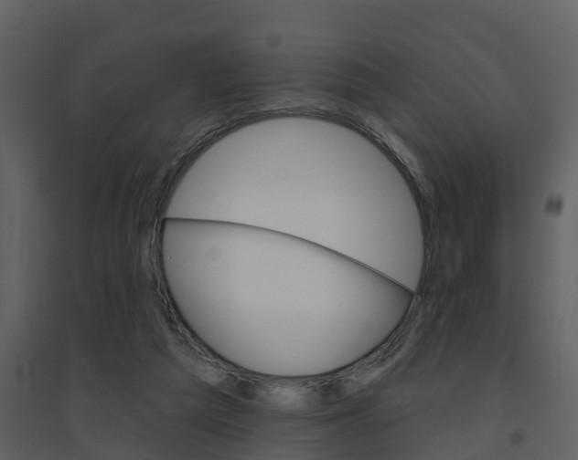 X0000094790209200711160924