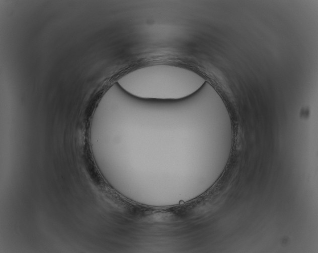 X0000094790210200711160924