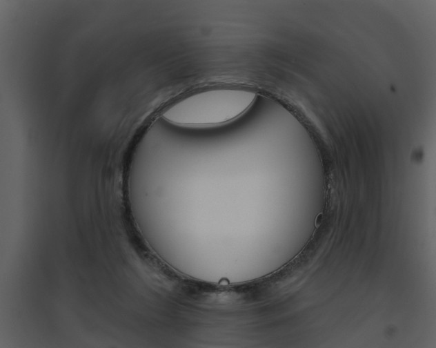 X0000094790212200711160924