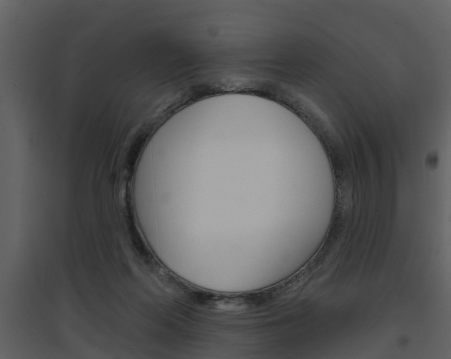 X0000094790214200711160924
