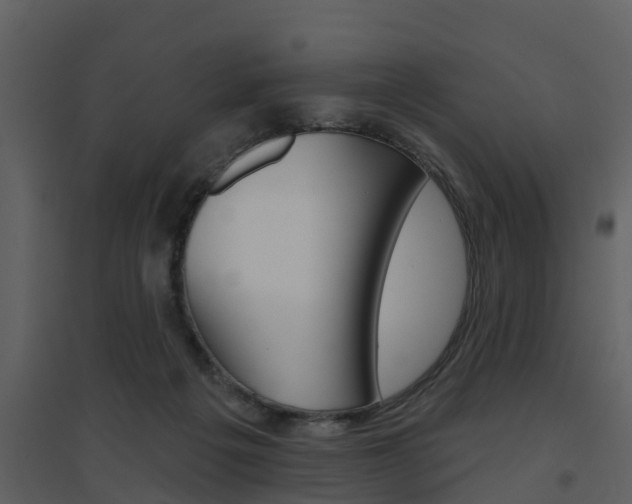X0000094790217200711160924