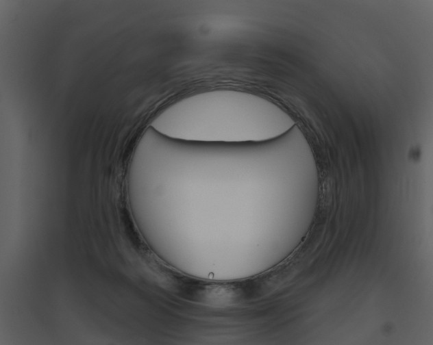 X0000094790218200711160924