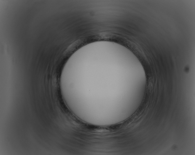 X0000094790220200711160924