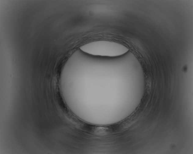 X0000094790222200711160924