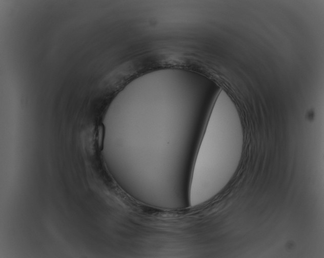 X0000094790223200711160924