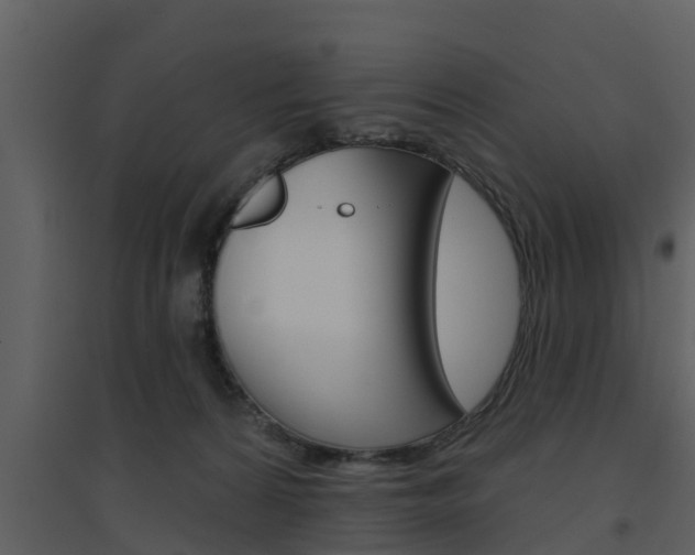 X0000094790224200711160924