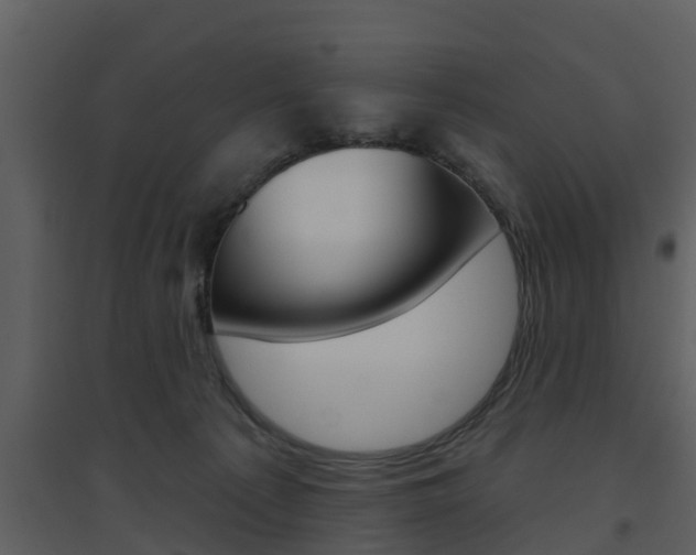 X0000094790225200711160924